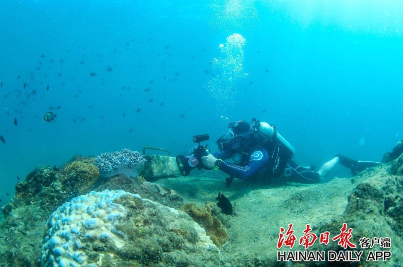 探索为什么会近视?的最佳社区平台 | 为什么会近视?红迪网